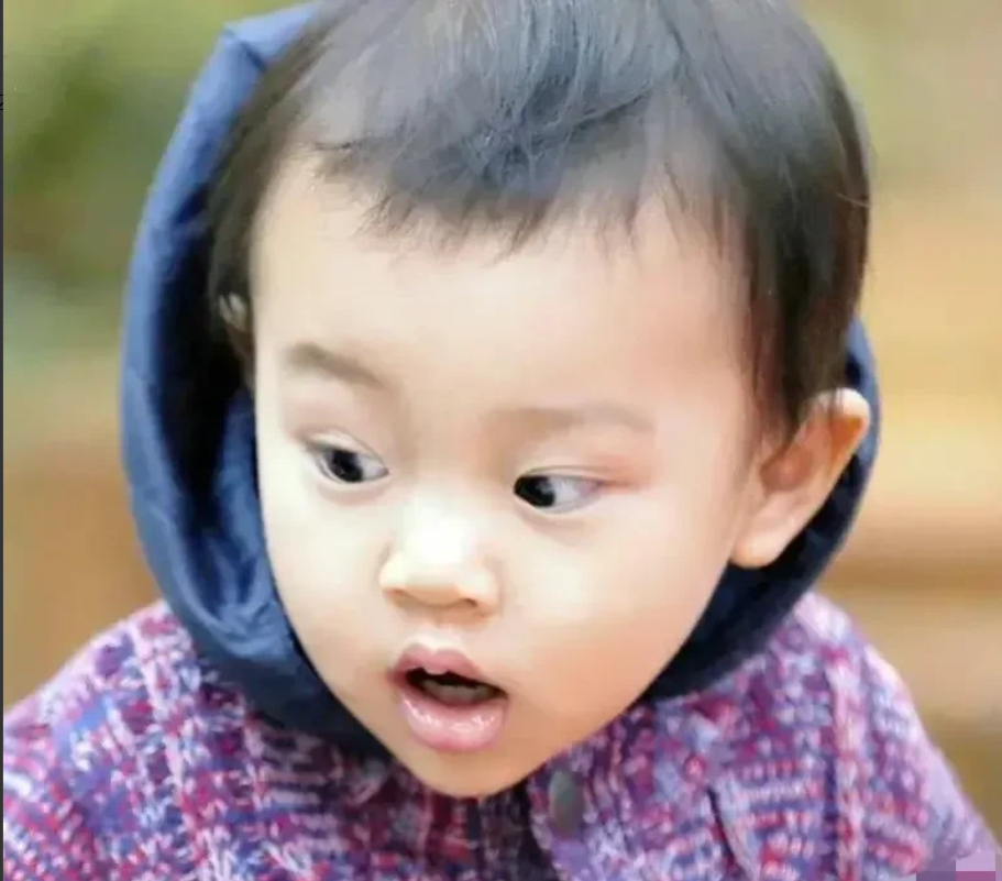 春节档|李小璐女儿甜馨,上热搜!