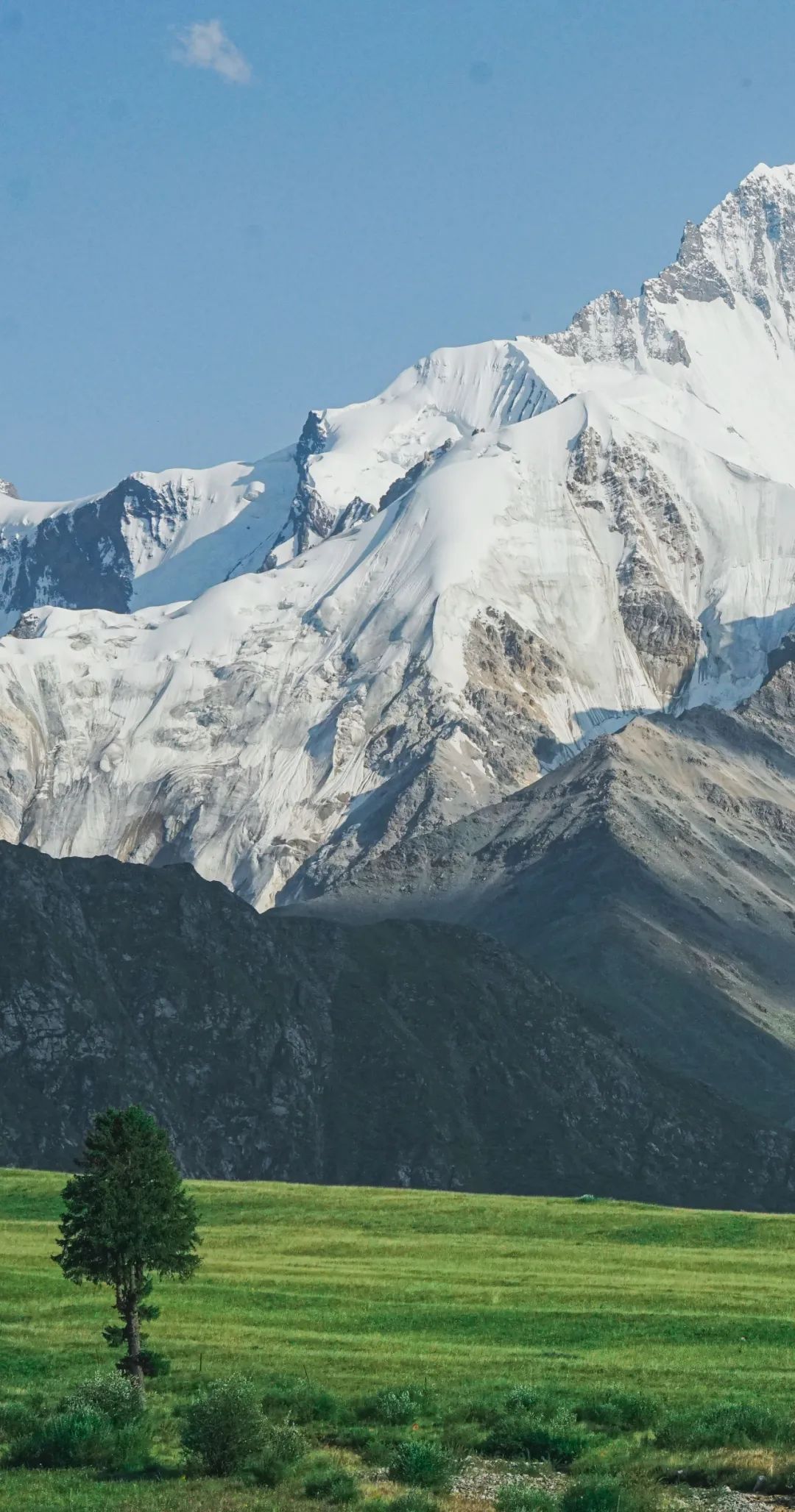 伊犁河谷|横空出世!比瑞士更绝美!伊犁映夏!