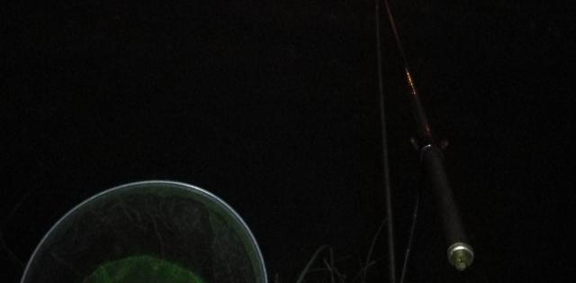 立秋|四川4名男子组团夜钓，意外收获1条四脚鱼，得知身份后赶紧放生