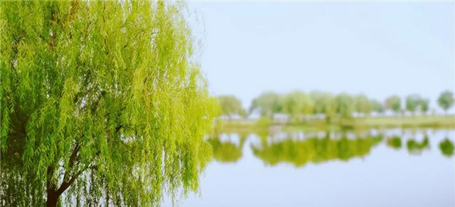 俗语说:人穷不砍三种树,后代子孙得佑护,是哪3种树?有何道理