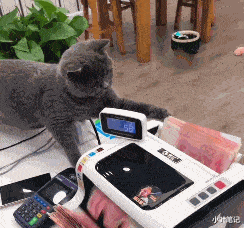 “为了卖房，开发商推出人体沙盘，有点毁三观”挺好看