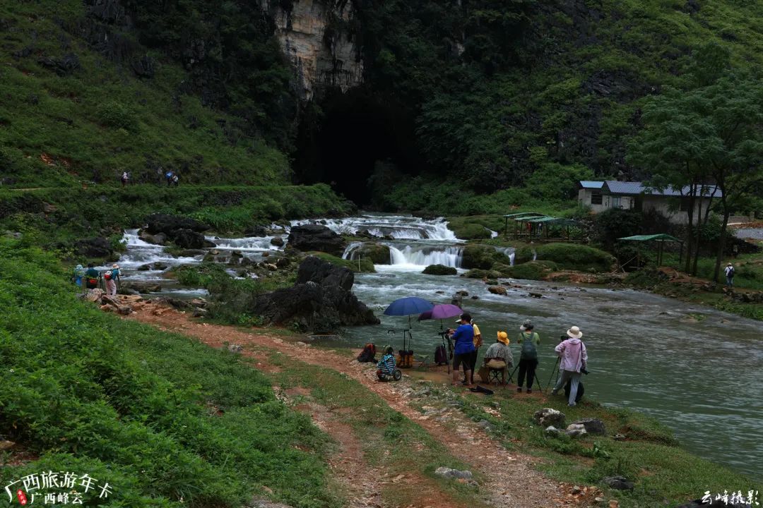 草原|大明山下这个野景火了！露营探洞玩水赏瀑样样给力| 广西旅游年卡