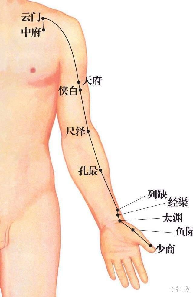 咳嗽|孩子变异性咳嗽哮喘如何调理?