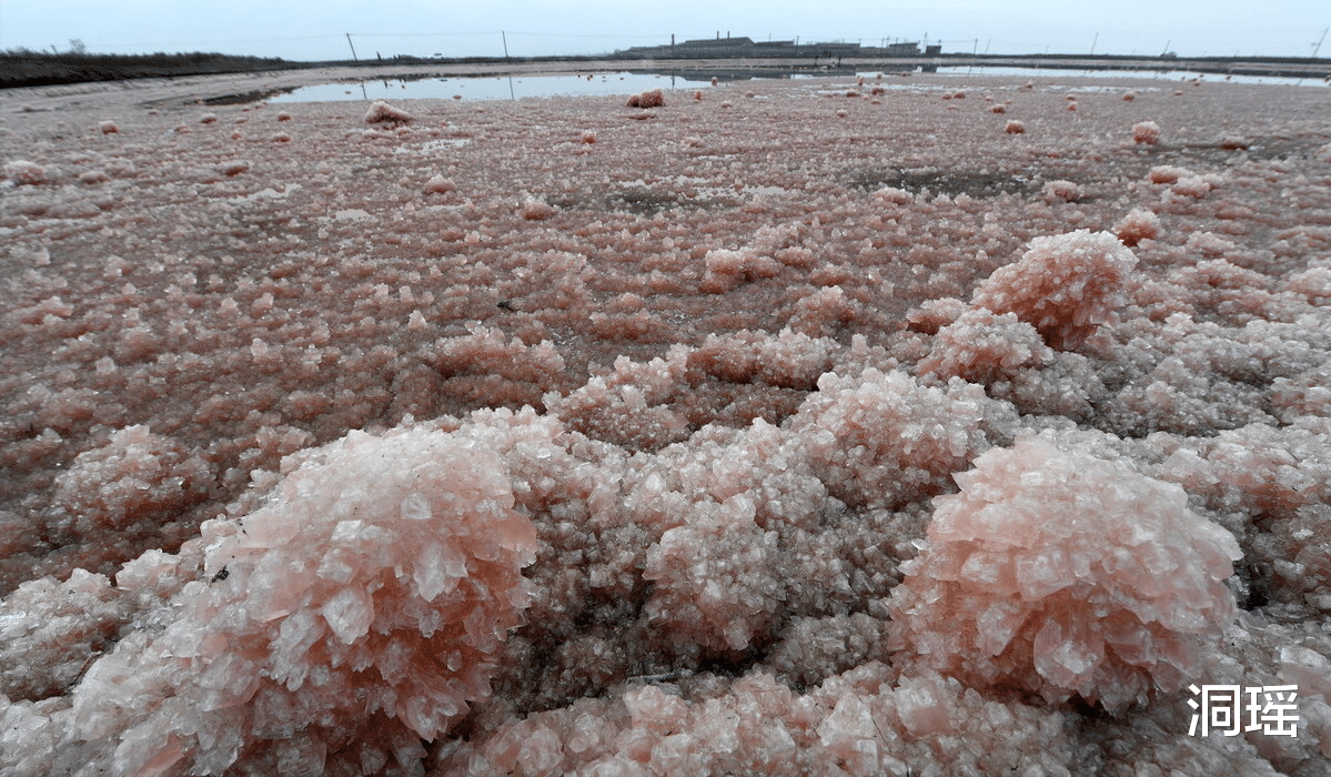 草原|距今0.5亿年的盐湖，一年产12万吨盐，为何“退盐还湖”了？