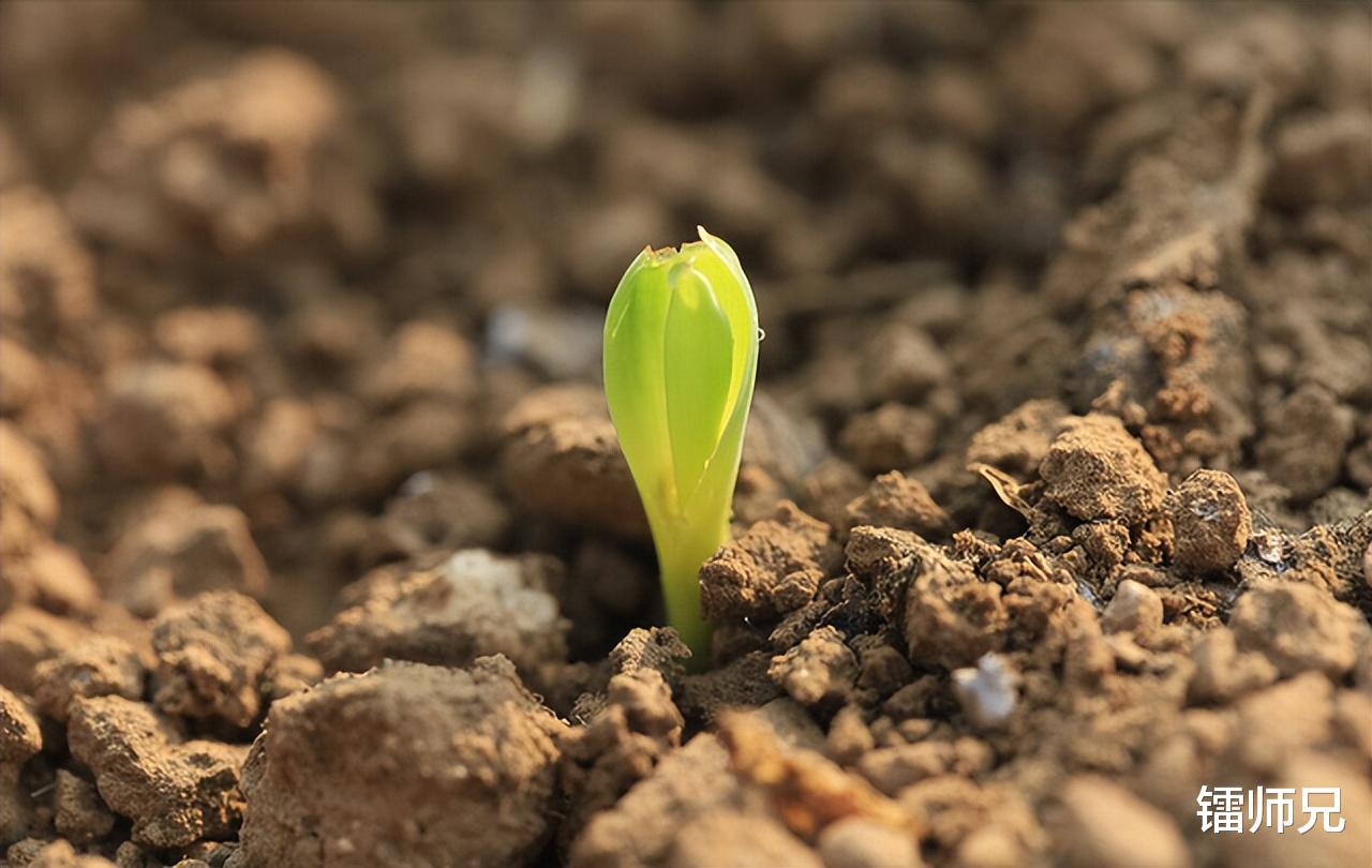 招聘|职场、经济、战争,他们背后的共同逻辑