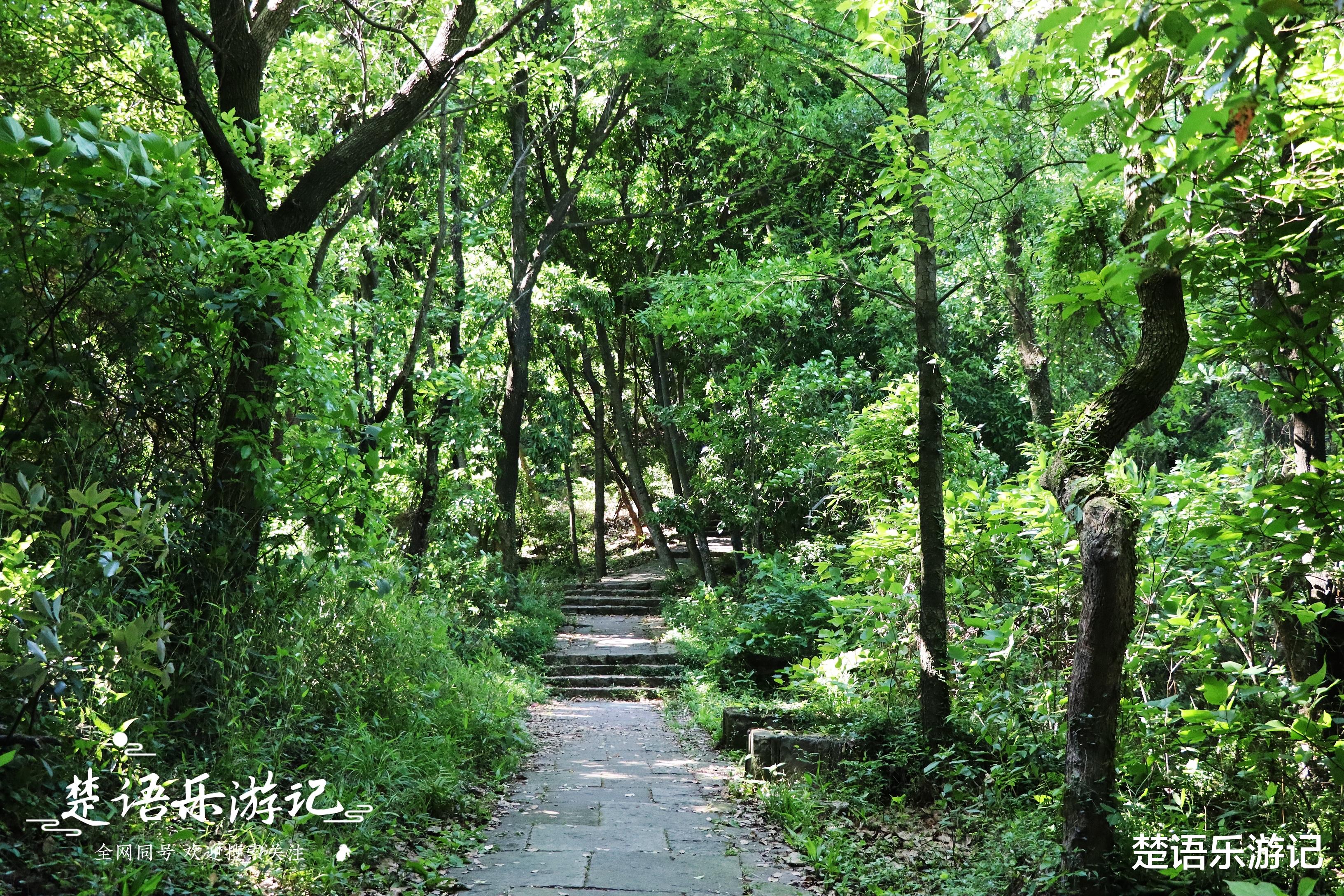 浙江省|浙江这个湖畔竟藏着一处风景,传说八仙曾来观光,许多人不知道
