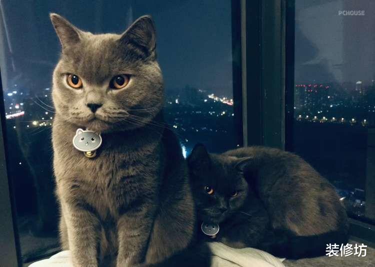 北欧又日式，小户型一定要做足温馨感，家就该如此温暖