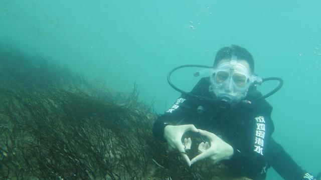 |不用去三亚，在茂名也可以看珊瑚抓龙虾，广州秘境海岛等着你