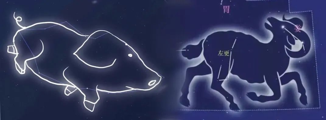 小雪节气,冬天的脚步近了吗?