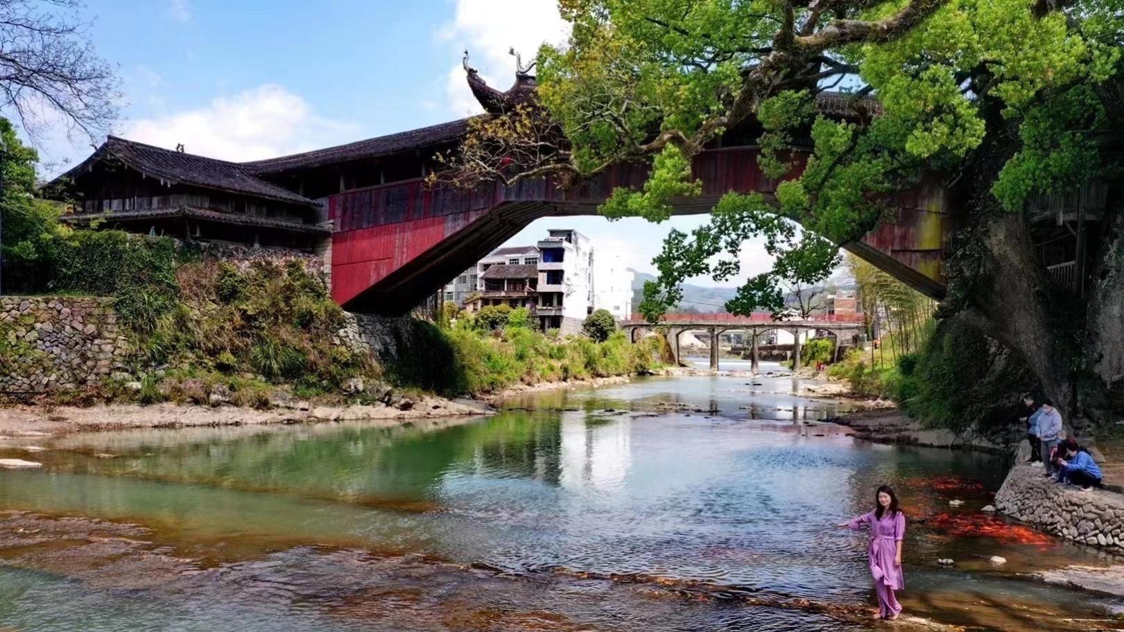 温州|走进温州的小众避暑胜地泰顺，放慢脚步，赏世界最美廊桥