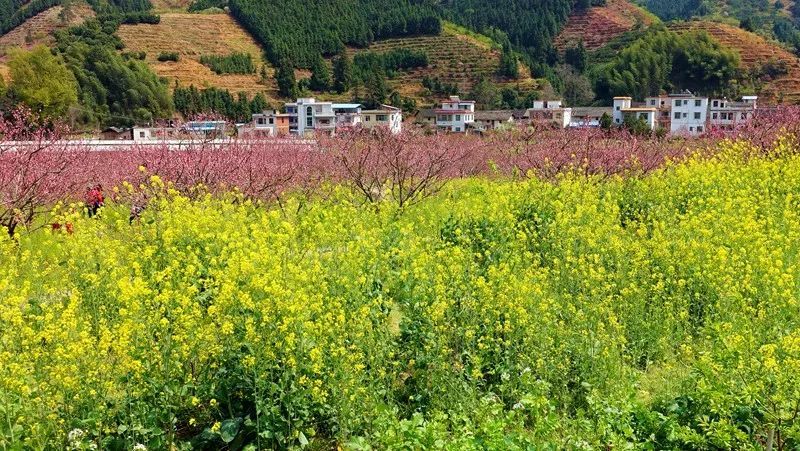 徒步|广东：韶关九峰山踏青 探访世外桃源 徒步鲜花之路