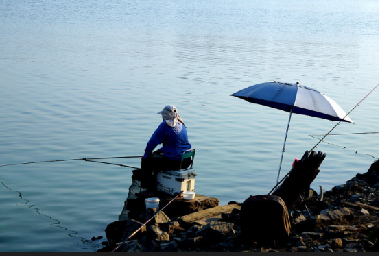 饵料|春钓鲤鱼，选对装备很关键，有了“它们”，轻松钓获大鲤鱼