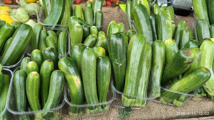 旅行|我与布里斯托邂逅回忆在2018年的秋天！