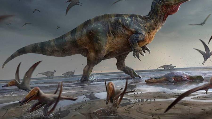 “有史以来发现最大掠食性恐龙”刚在英格兰海岸出土