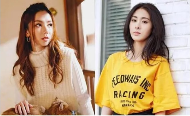 张碧晨|张碧晨,也走到了今天