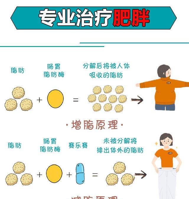 穿衣搭配 你还在无效减肥吗？小基数正确减肥三月瘦15斤！