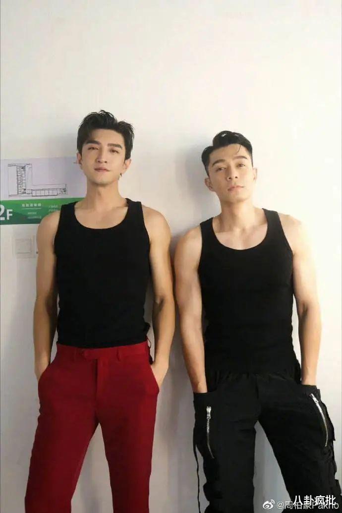 吉娃娃|王诗龄整形?吉娃娃激情玩耍?金瀚周柏豪卖腐?成毅小鸡嘴?张翰撤热搜?