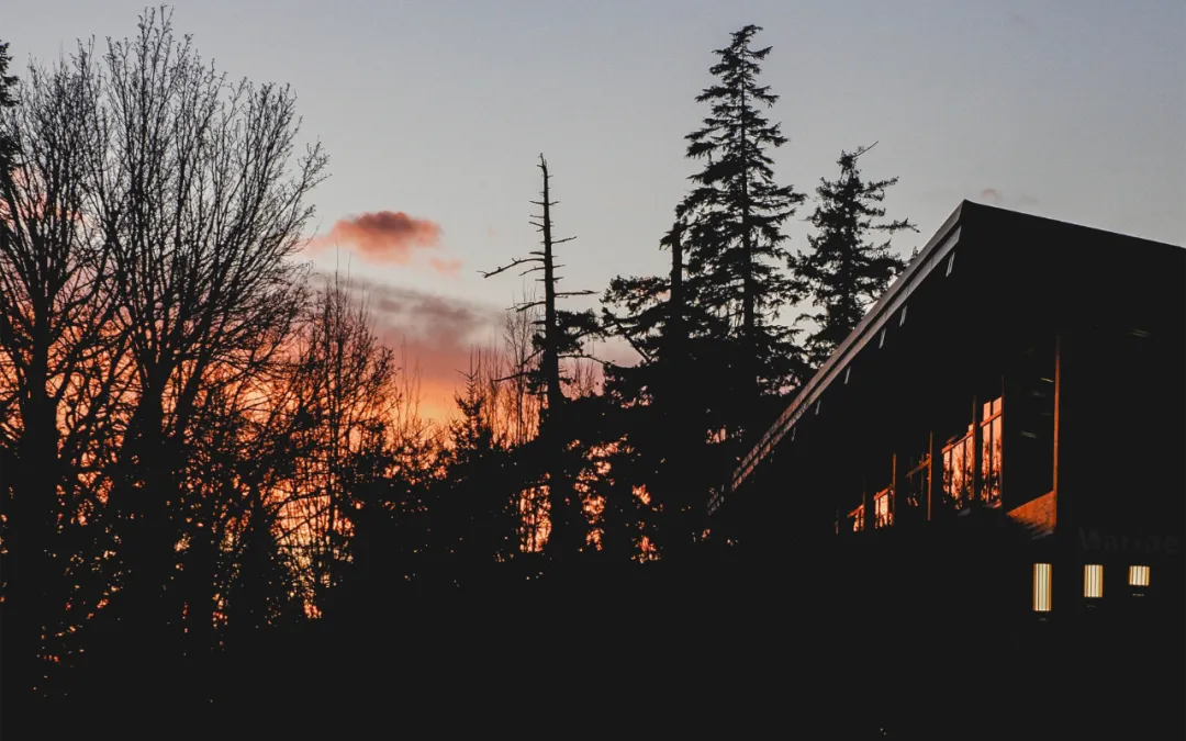 运势|最容易出轨，有“私情”的4大生肖男