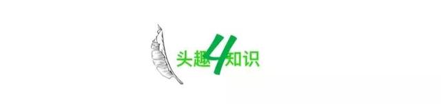 全网热议的“大学生活费只有500元”事件,扯掉多少父母的遮羞布?