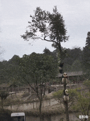 空军|“钓鱼的时候飞到我手上的，第一次见，有知道这是什么的吗？”