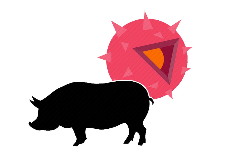 胆固醇|生猪价格“七连涨”!趁着价高,猪身上7个部位能不吃就不吃