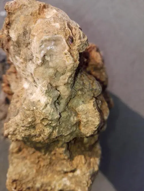 古新世-始新世小球化学和碳同位素偏移开始的碳源