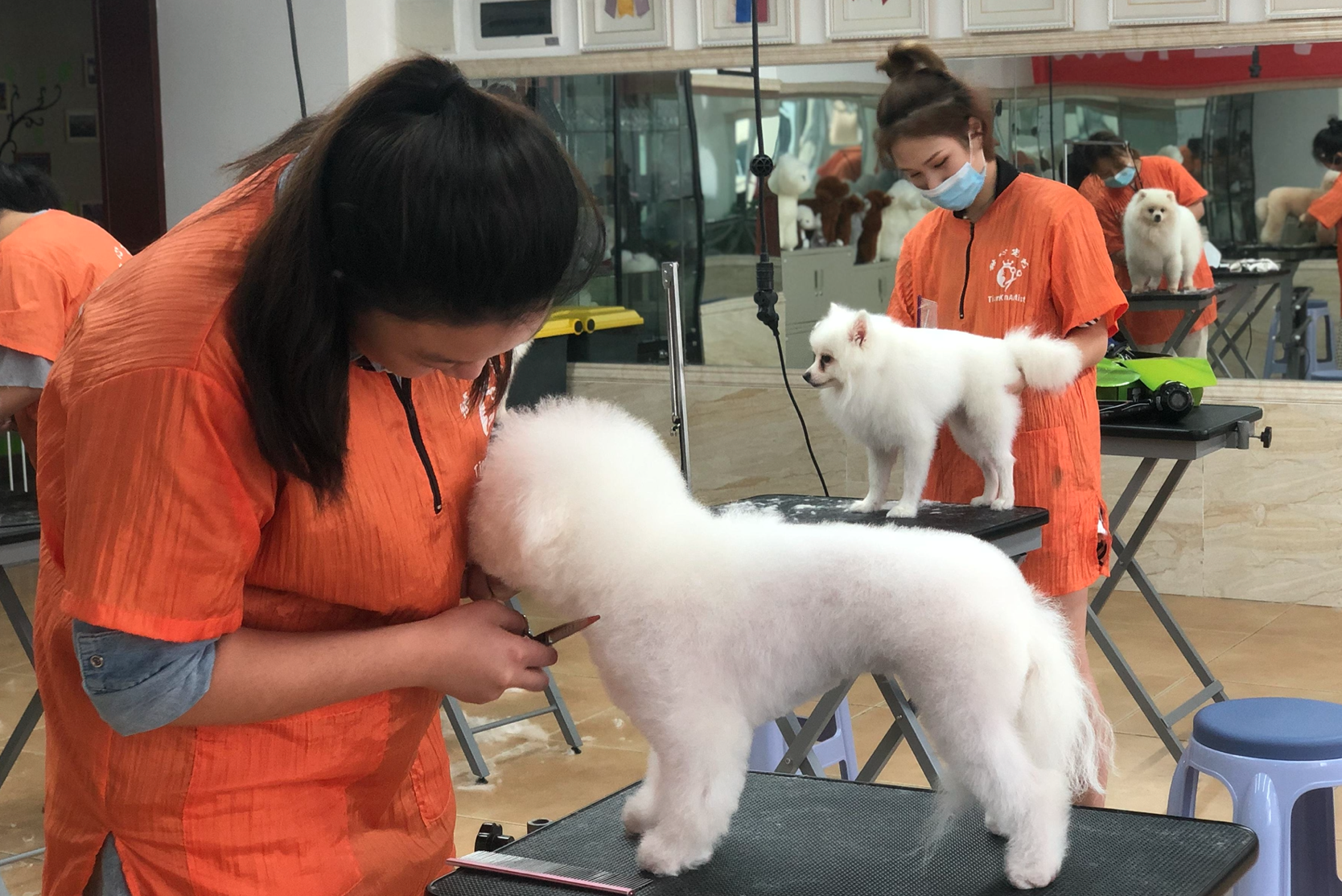 手艺 高考毕业不读大学，可以学的8门手艺，出师快，发展前景也不错