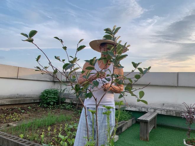 韩国25岁女主的独居生活:住60㎡小家,与宠物为伴,生活幸福