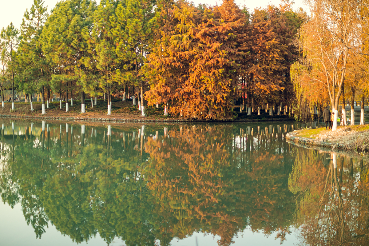 海边|层林尽染,丰富多彩