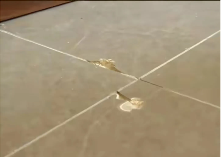 龙城|近日,浙江杭州,女子花528万买的房子,交付当天却有一个陌生的男人闯进新房