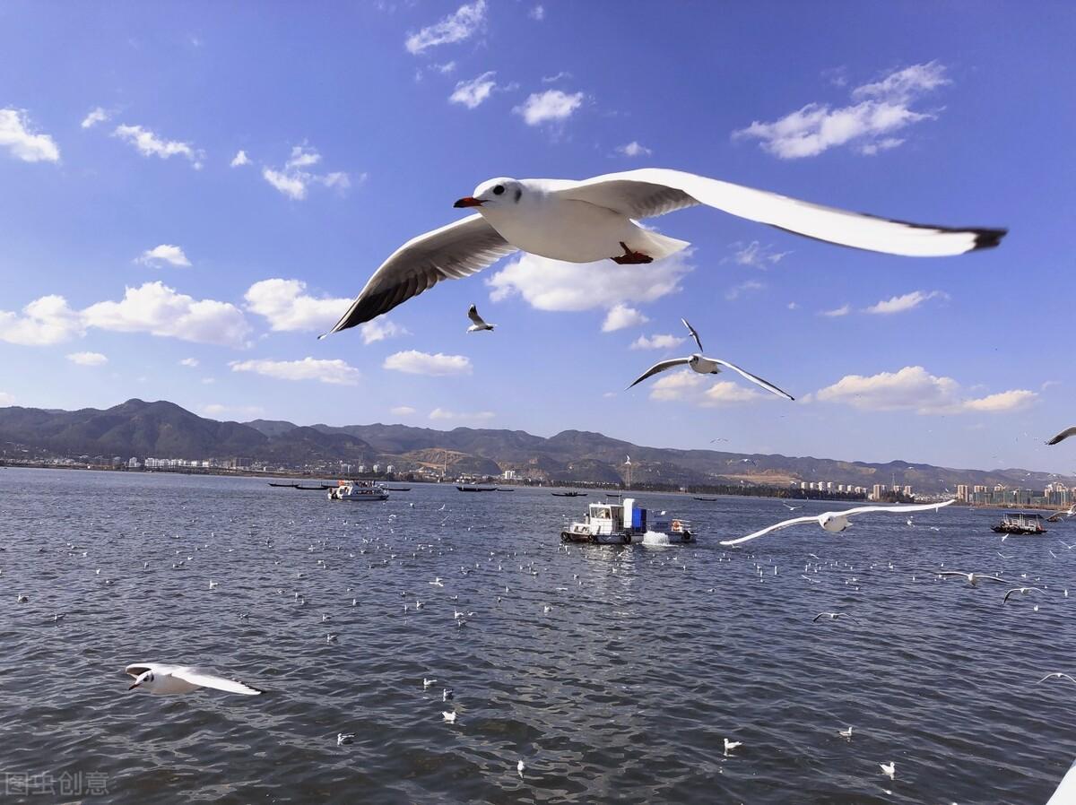 滕州|郭进拴|雨中游滇池