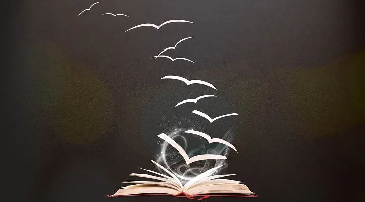 深圳大学|宁要211的普通生，不要职业技术学院的优秀生，是学历歧视吗？