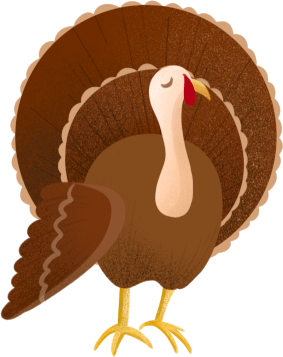 海豚|今天,遥望远方……