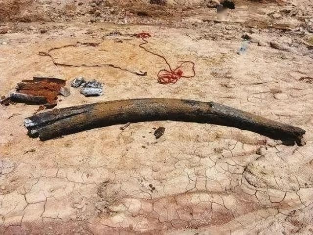 朱贤健|钓鱼老哥在破案方面到底有多厉害?