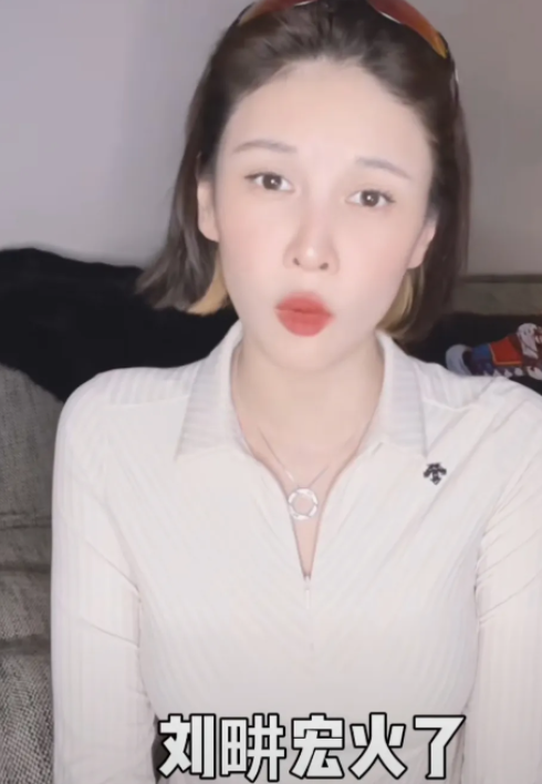 张蓝心|张蓝心“跟风”刘畊宏，推出14天燃脂计划，结果合作公司却解散了