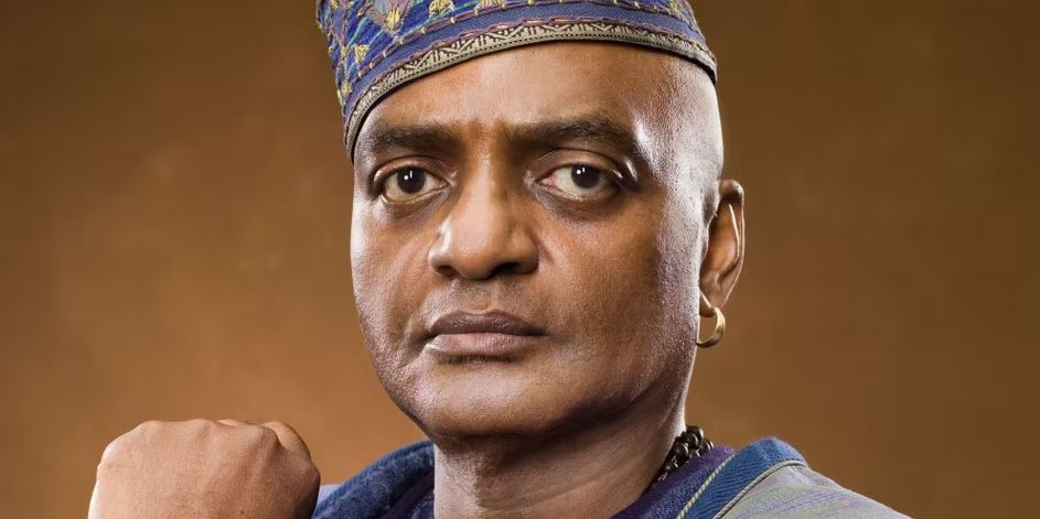 哈利·波特|《哈利波特》: 电影中遗漏的,有关邓布利多军的十个事实