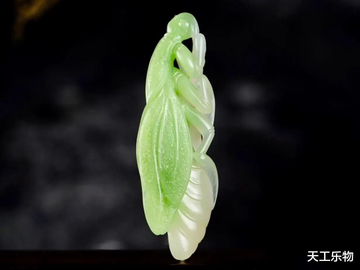 钱币|和田玉的玉中翠!五德加身的小螳螂!青海翠青料“金玉满堂”!