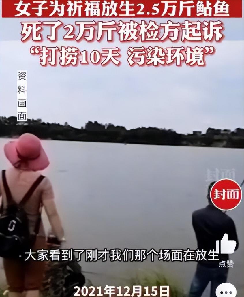 放生2.5万斤鲶鱼死亡2万斤，放生这件事如此不靠谱吗？