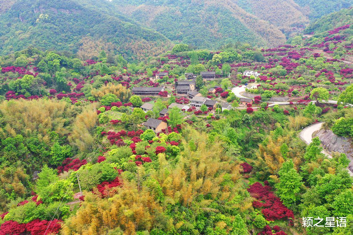 |高山上的岩坑村，红枫嫣红，人少而景美