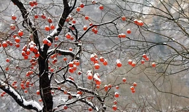 海边|冬季旅游,耿峪白杨岔穿越西观音徒步之旅