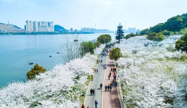 漂流|黄石出资4606万元,修建了一所大型公园,风景美如诗画