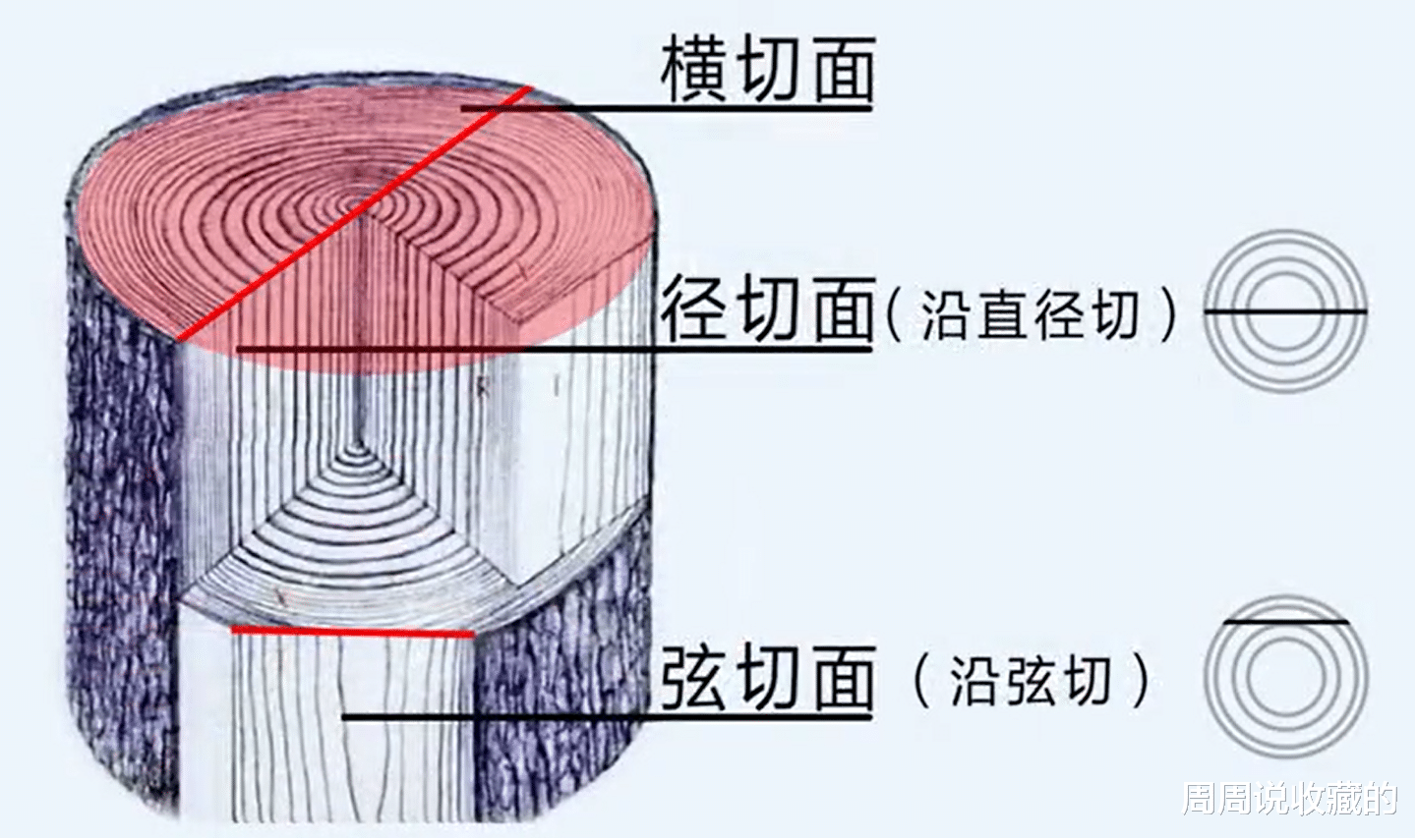 文玩|玩紫檀一定要知道生长纹,如何通过生长纹辨别紫檀好坏?