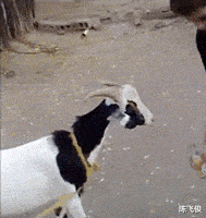 |一万亿和一亿万哪个比较多?例子太真实了!