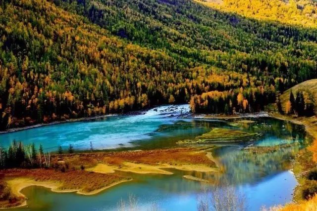 |喀纳斯的秋天刷爆朋友圈，简直令全国人民都羡慕坏了！