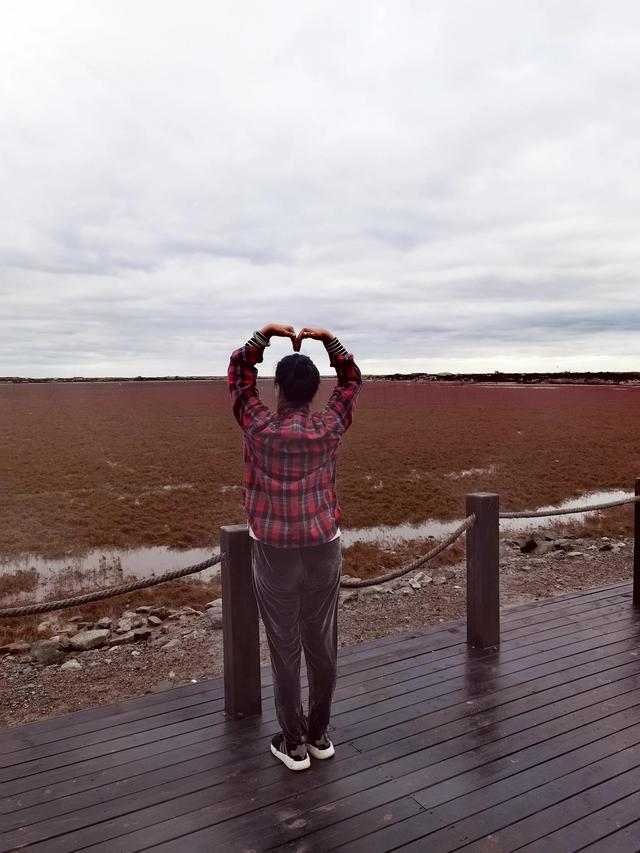 红海滩|邀请你到辽宁省锦州市的红海滩