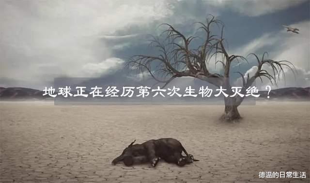 气候危机已影响90%海洋物种？种种迹象表明第六次大灭绝或在发生