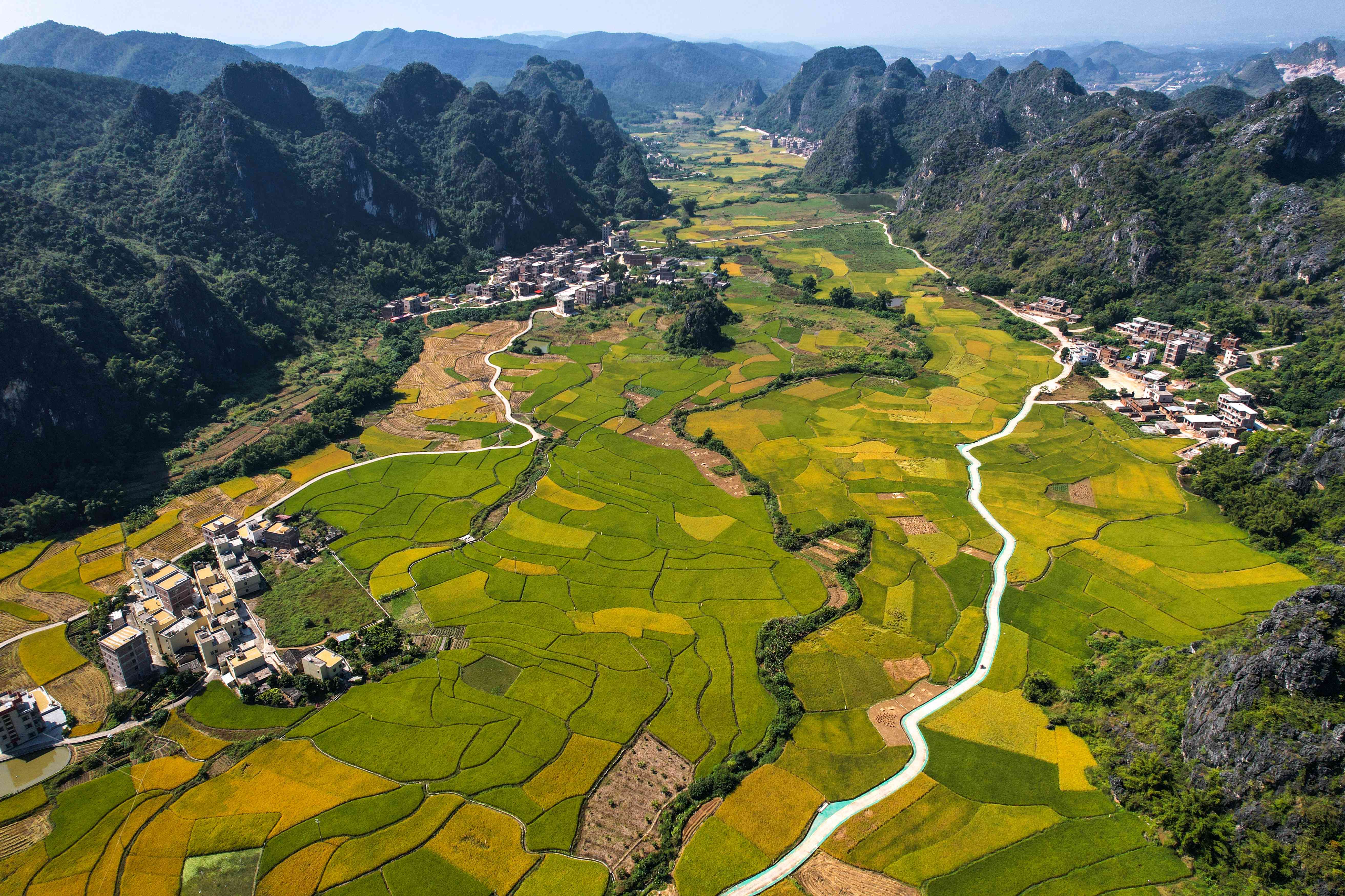 风车|振兴乡村旅游——红荔红米酒“原粮产区”成网红打卡地