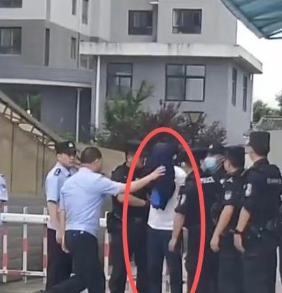 陕西一幼儿园女园长家中被害,凶手被抓画面曝光,原因细思极恐