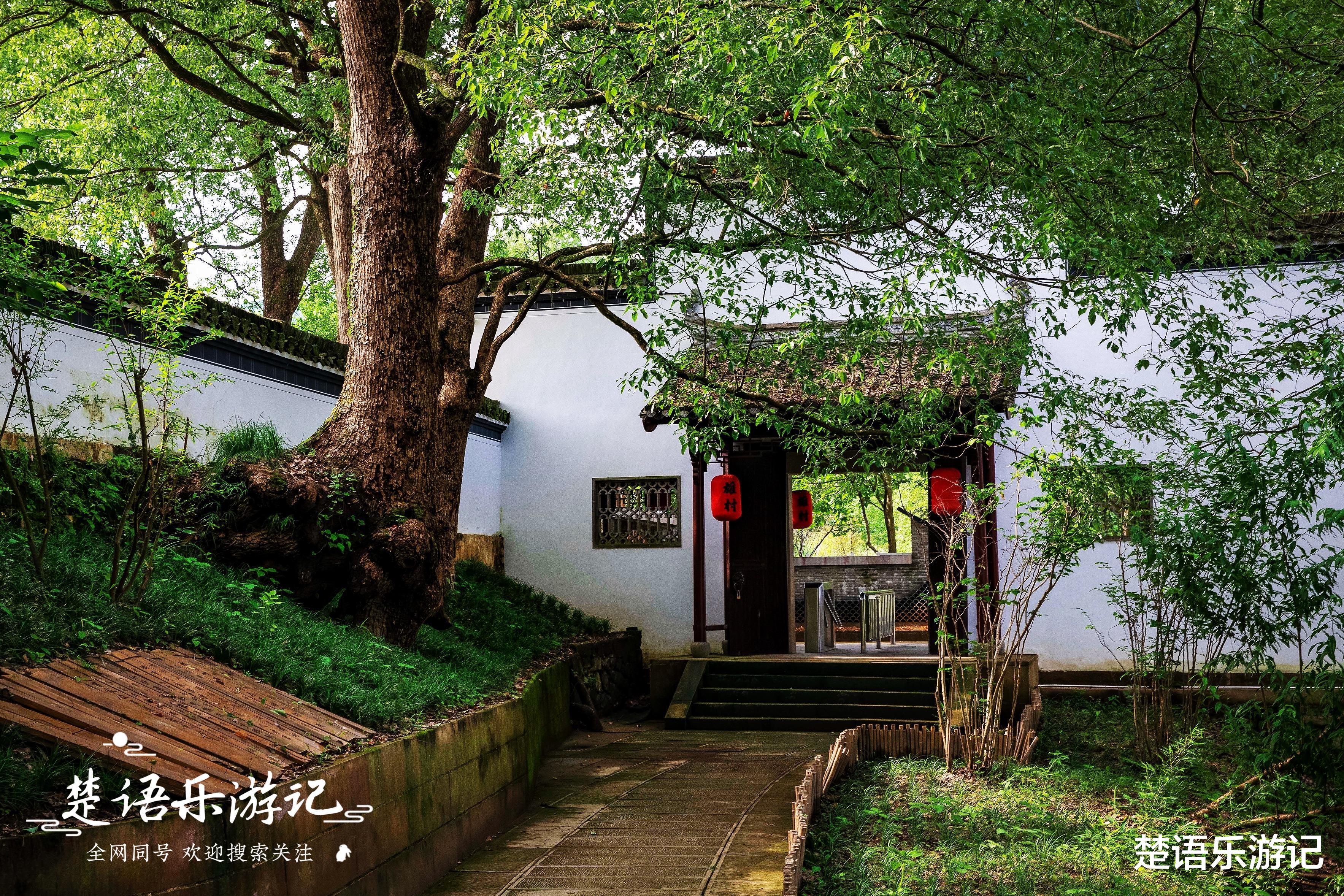 自然风光|居于新安江畔的徽派古村，人文故事与自然风光齐名，成为旅游胜地