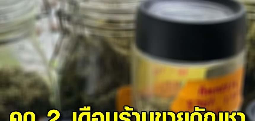 违法出售大麻！泰国曼谷通罗区6名商贩被罚监禁2个月